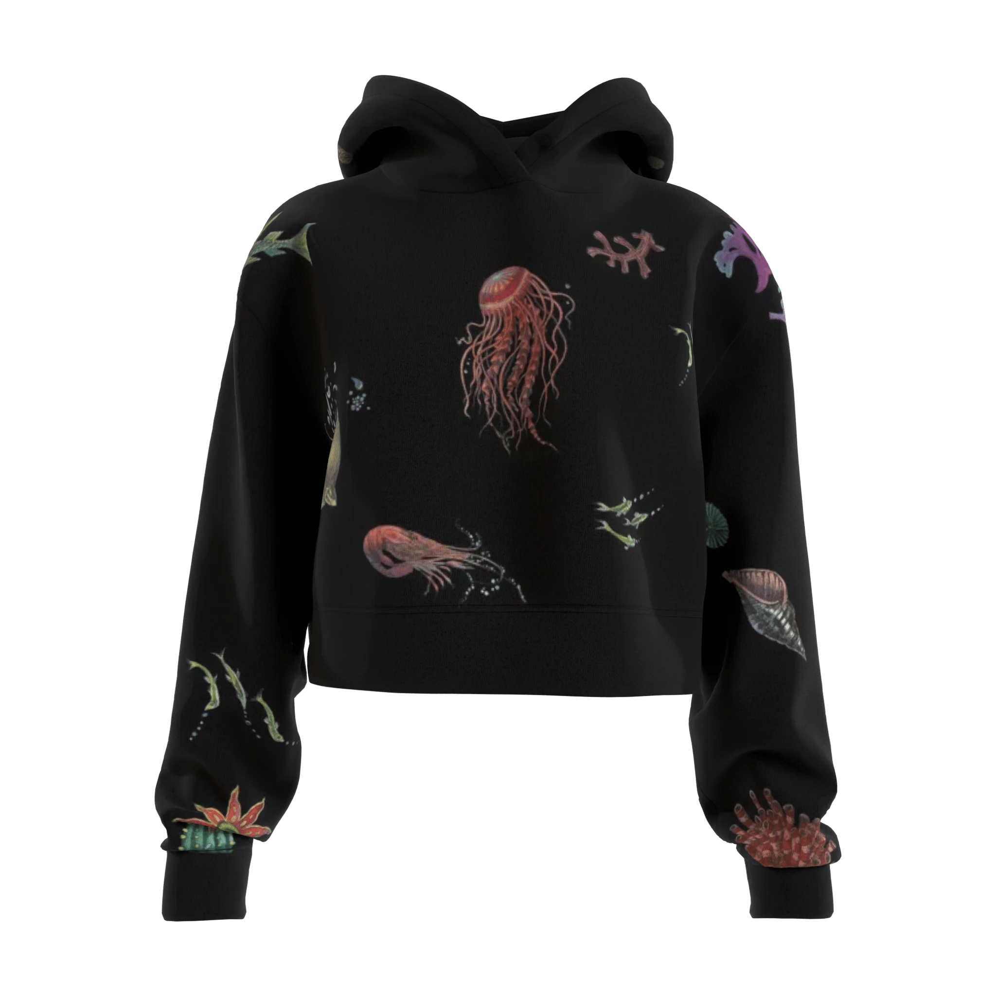 Aquatic Hoodie - 23point5 Shop