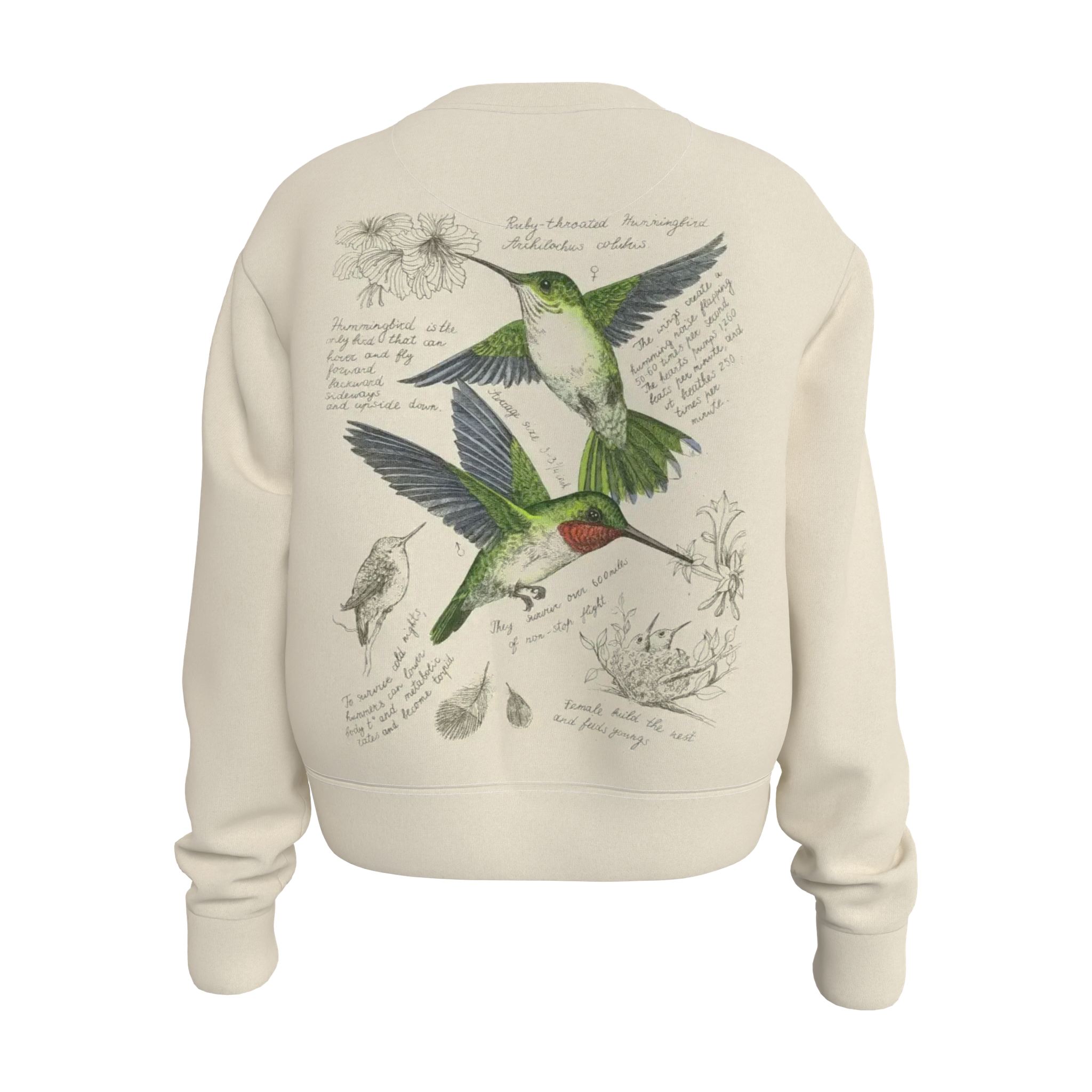 MOCKUP_rear